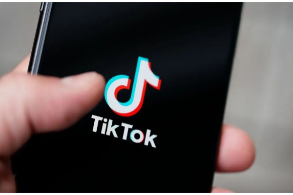 How to See Who Liked Your Tiktok Videos 2022?